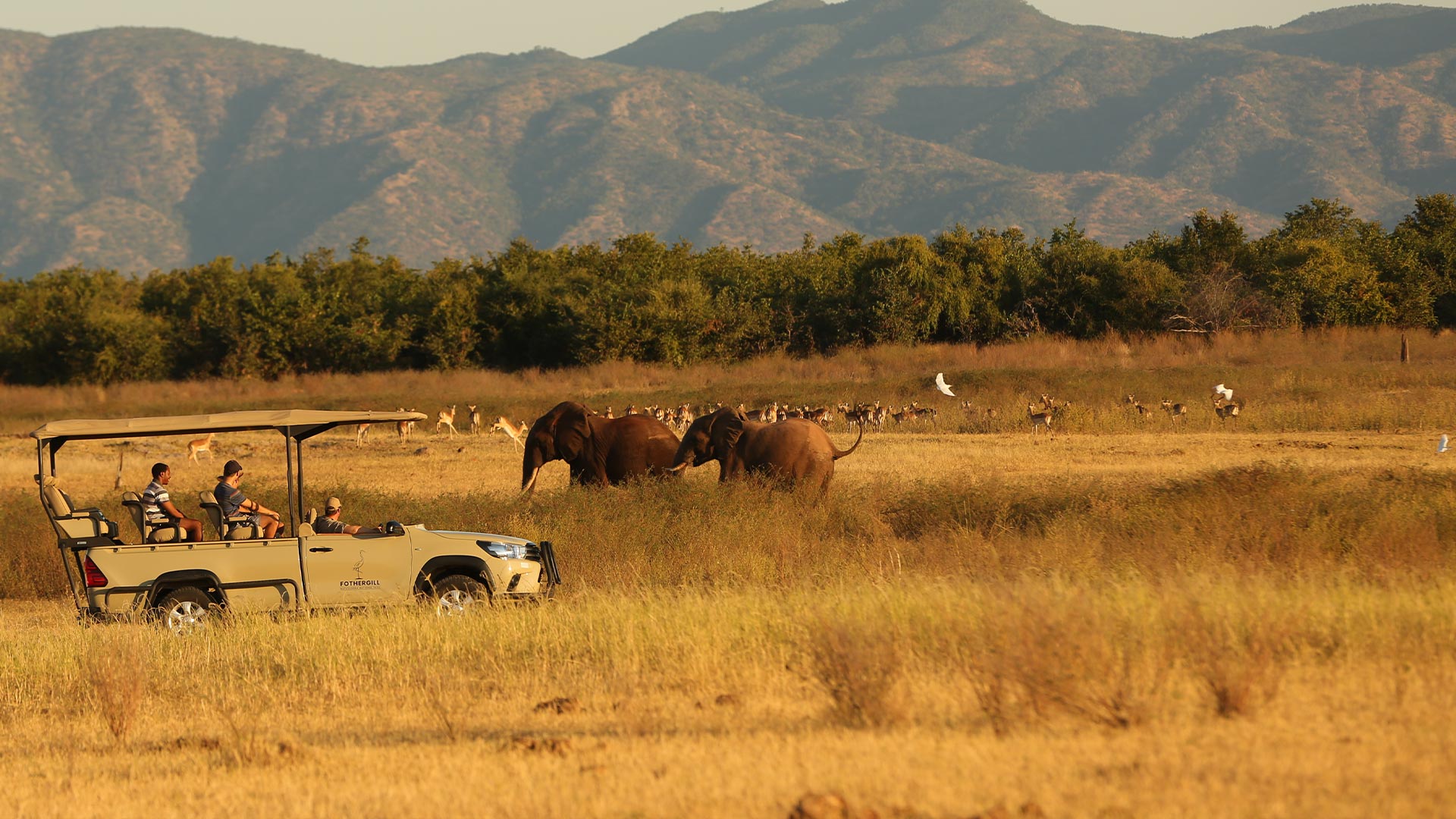Game-Drives
